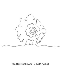 Continuous one line drawing of sea shell isolated element. Vector outline summer beach illustration. Black and white vacation concept, minimal line art. Underwater natural coral, linear poster