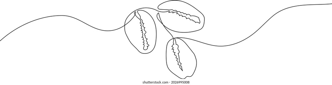 Continuous one line drawing of seashells. Modern minimalistic art. Vector illustration.