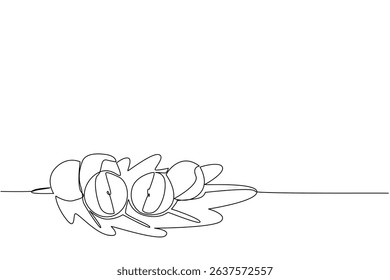Continuous one line drawing several oak apple fruits on leaves. Similar to an apple, but this fruit is not for eating. Like gall on plants. Oak Apple Day. Single line draw design vector illustration