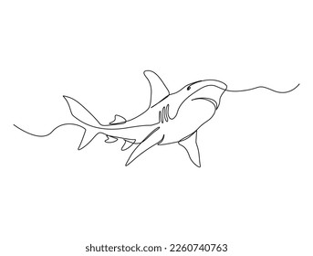 Continuous one line drawing of shark fish. Simple illustration of saltwater fish line art vector illustration