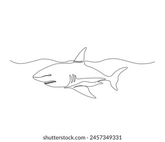 Continuous one line drawing of shark fish illustration. Great white shark simple outline vector design. Editable stroke.