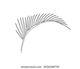 Continuous one line drawing of single palm leaf. Palm leaf single outline vector illustration. Editable stroke.