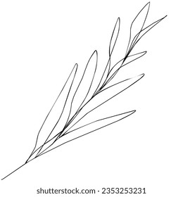 Esbozo continuo de dibujo de una línea de planta con hojas largas aisladas sobre fondo blanco.