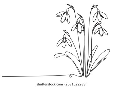 Continuous one line drawing Snowdrop flower line art vector illustration. Hand drawn black paint sketch isolated on white.