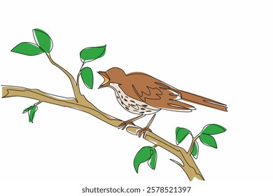 Continuous one line drawing song thrush perched on a tree branch with leaves. The morning sun warms. The melodious chirping. International Dawn Chorus Day. Single line draw design vector illustration