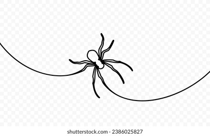 Continuous one line drawing of spider sits on the web vector design. Single line art illustration of spider on transparent background