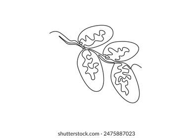 Continuous one line drawing stack healthy organic sweet fruit dates for orchard logo identity. Saudi Arabia fruitage concept for fruit garden icon. Single line draw design vector graphic illustration