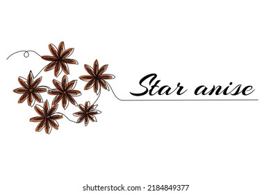 Continuous one line drawing of star anise. Modern style vector illustration on isolated background.