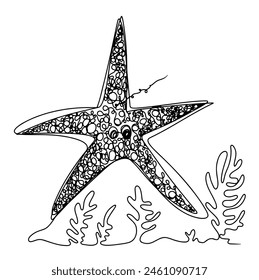 Continuous one line drawing of starfish and coral, sea ocean elements. Vector illustration