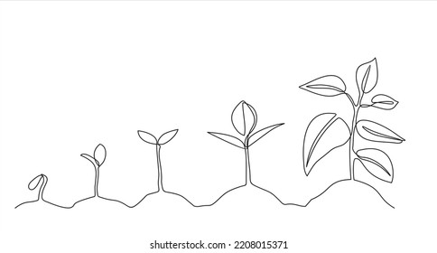 sapling drawing