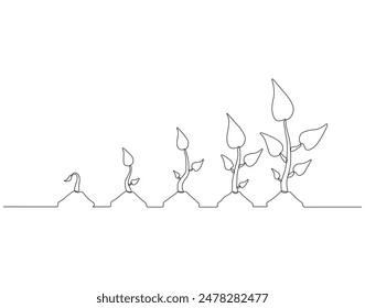 Continuous one line drawing of step of grow plant. One line drawing illustration of plants grow. Growing plant concept single line. Editable outline.