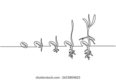 Continuous one line drawing of step of grow plant. Vector illustration,  Sprout with leaves in simple linear style isolated one line vector illustration.