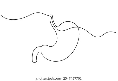 Continuous one line drawing of Stomach organ Human Gastrointestinal