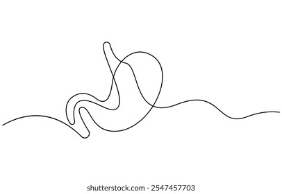 Continuous one line drawing of Stomach organ Human Gastrointestinal