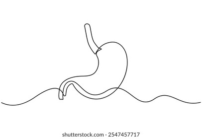 Continuous one line drawing of Stomach organ Human Gastrointestinal