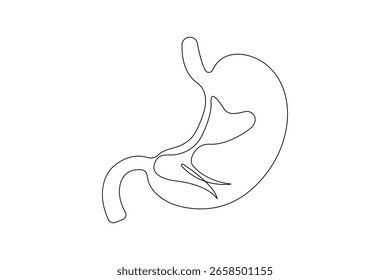 Dibujo continuo de una línea del estómago en estilo de contorno minimalista para Ilustración vectorial médica