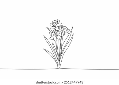 Continuous one line drawing three stalks of daffodil flowers. Trying to breed. Medical plants. The kindness of many people. Antioxidant plant. Daffodil Day. Single line draw design vector illustration