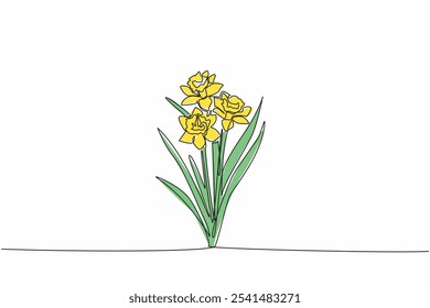 Continuous one line drawing three stalks of daffodil flowers. Trying to breed. Medical plants. The kindness of many people. Antioxidant plant. Daffodil Day. Single line draw design vector illustration