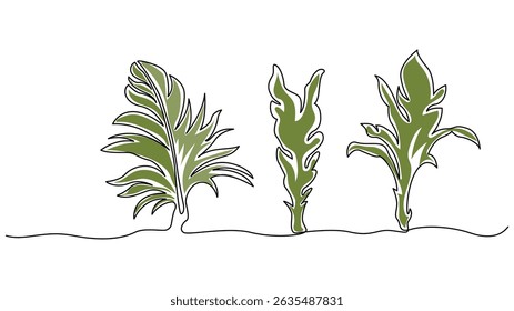 Continuous One Line Drawing of Three Tropical Leaves