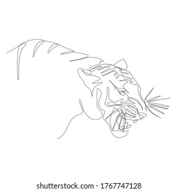 Continuous one line drawing of a tiger showing its fangs and get ready to pounce
the prey. Vector illustration