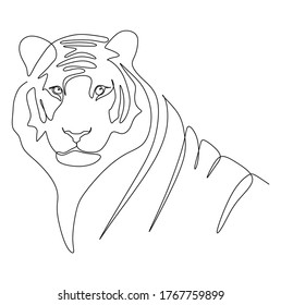 Continuous one line drawing of a tiger looking at the camera. Vector illustration