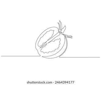 Dibujo continuo de una línea de tomate. Ilustración de dibujo de una línea de la verdura de tomate. Concepto de verduras frescas crudas arte de línea continua.