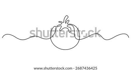 Continuous one line drawing of Tomato vegetable. Continuous single minimal line art tomato, One-line, Editable vector outline. Tomato single line. Graphic illustration 