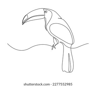 Continuous one line drawing of toucan bird. Simple toucan outline vector illustration. 