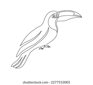 Continuous one line drawing of toucan bird. Simple toucan outline vector illustration. 