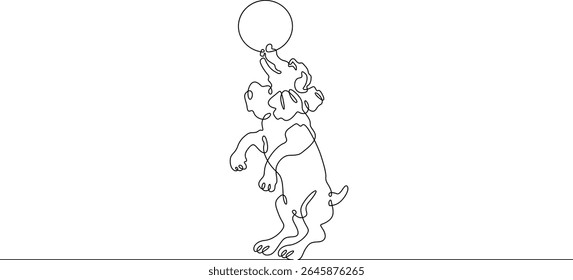 Continuous one line drawing trained dog. The dog performs in the circus. Circus..One continuous line isolated minimal illustration.Not AI.