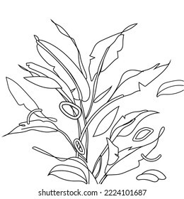 Continuous one line drawing of tropical leaf. Minimal natural eco concept artwork. Home wall decor, poster, tote bag, fabric print. Single line draw design graphic vector illustration