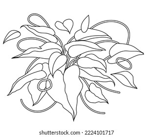 Continuous one line drawing of tropical leaf. Minimal natural eco concept artwork. Home wall decor, poster, tote bag, fabric print. Single line draw design graphic vector illustration