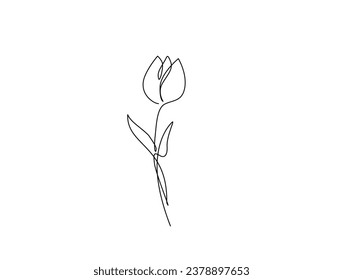 Continuous one line drawing of tulip flower. single line flower vector illustration.