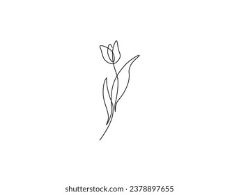 Dibujo continuo de una línea de flor tulipán. ilustración del vector de flor de una sola línea.