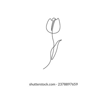 Continuous one line drawing of tulip flower. single line flower vector illustration.