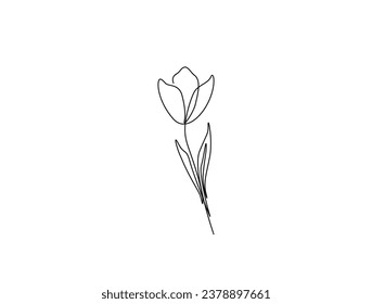 Continuous one line drawing of tulip flower. single line flower vector illustration.