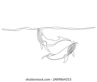 Continuous one line drawing of two blue whale swimming together. One line drawing illustration of blue whale swimming. Marine mammals concept line art. Editable outline.