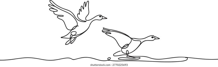 Continuous one line drawing of two geese taking off from the water. One goose is in flight with wings spread wide. one line Icon drawing
