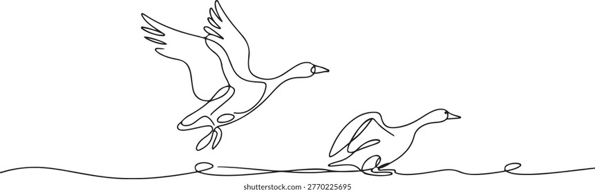 Continuous one line drawing of two geese taking off from the water. One goose is in flight with wings spread wide. one line Icon drawing
