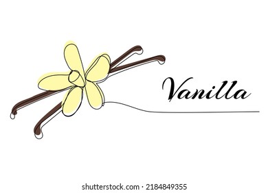 Continuous one line drawing of vanilla. Modern style vector illustration on isolated background.