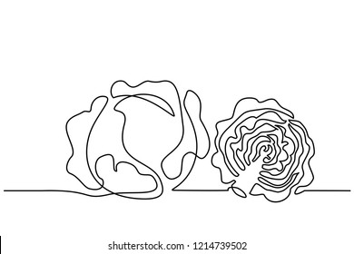 Continuous one line drawing. Vegetables two cabbage. Vector illustration