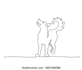 犬 イラスト 線画 High Res Stock Images Shutterstock