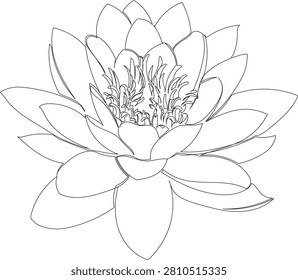 Continuous One Line Drawing of Water Lily Flower