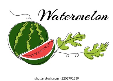 Continuous one line drawing of watermelon. Modern style vector illustration on isolated background.