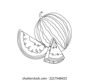 Continuous one line drawing of watermelon. single line water melon vector design. Hand drawn minimalism style.
