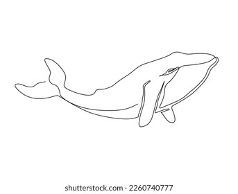 Continuous one line drawing of whale. Simple illustration of humpback whale line art vector illustration