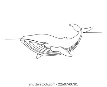 Continuous one line drawing of whale. Simple illustration of humpback whale line art vector illustration