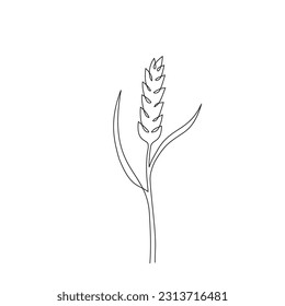 Continuous one line drawing of wheat grain ear. Single line drawing of ripe ear. Linear sketch of grain of rice, oat ear. Silhouette of wheat ear. Modern design element for agriculture logo