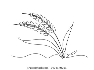 Continuous one line drawing of wheat. Barley or Rye outline vector illustration.