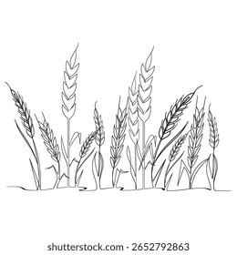Continuous one line drawing of wheat. Barley or Rye outline vector illustration. Editable stroke.